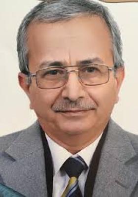 رفعت سيد أحمد