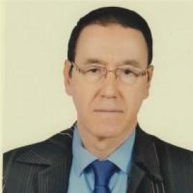 إبراهيم القادري بوتشيش