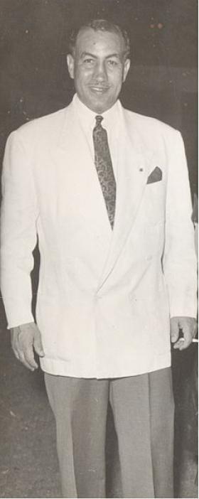 حسين فوزي النجار