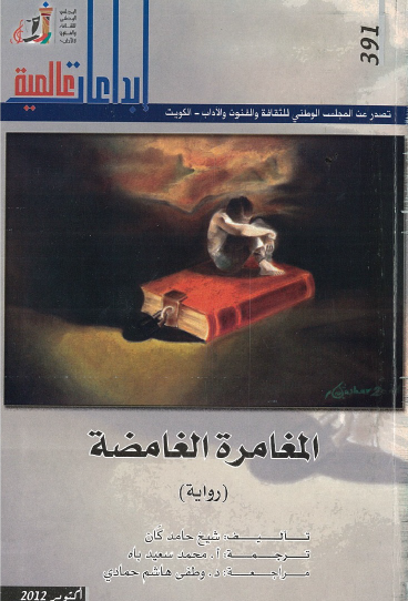 المغامرة الغامضة