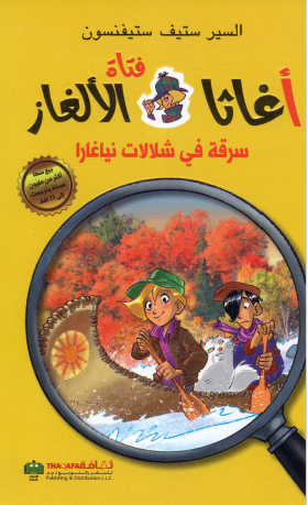 سرقة في شلالات نيااغرا